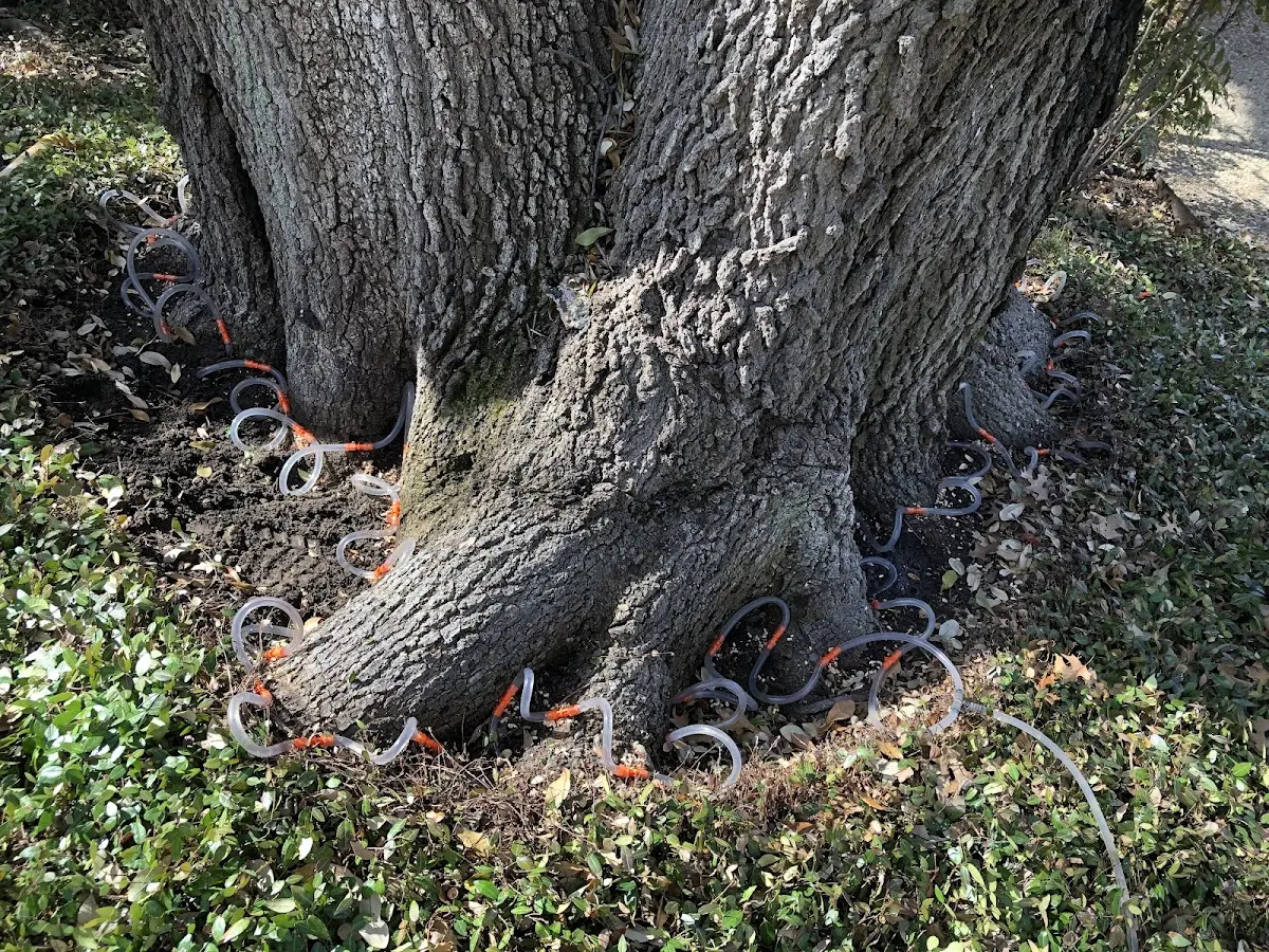 Detailed Shrub and Hedge Trimming job site in White Oak